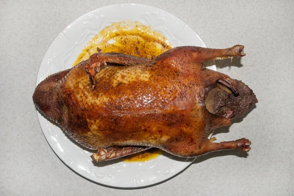 Fényes frissen főtt kacsa zsírral nagy kerek fehér étel — Stock Fotó