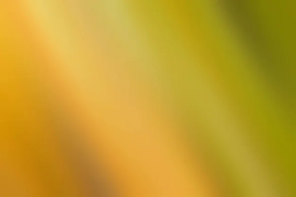 Weiche Gelbe Orangefarbene Und Grüne Verschwommene Strahlen — Stockfoto
