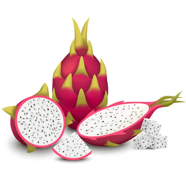 Dragon meyve vektör çizim