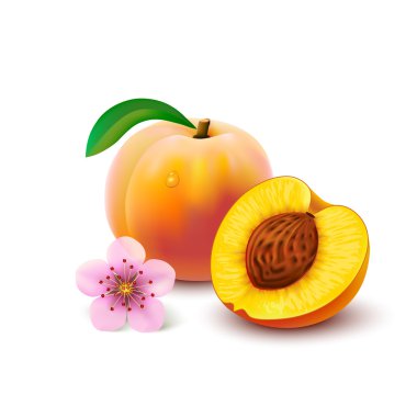 Peach with slice on white background clipart