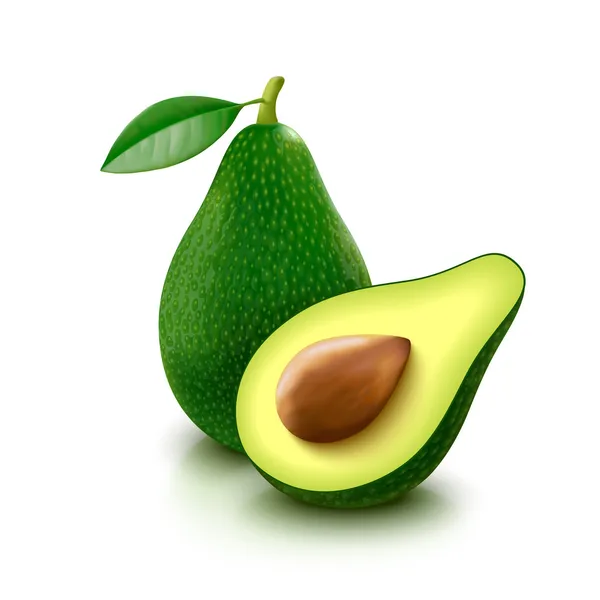 Avocado con fetta su sfondo bianco — Vettoriale Stock