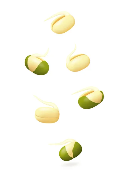 白い背景に隔離された若い豆の芽を落下させる サイドビュー 現実的なベクトル図 — ストックベクタ