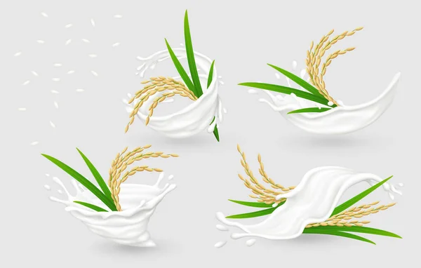 Mléko Cáká Zralýma Ušima Rýže Bílá Zrnka Izolovaná Šedém Pozadí Royalty Free Stock Vektory