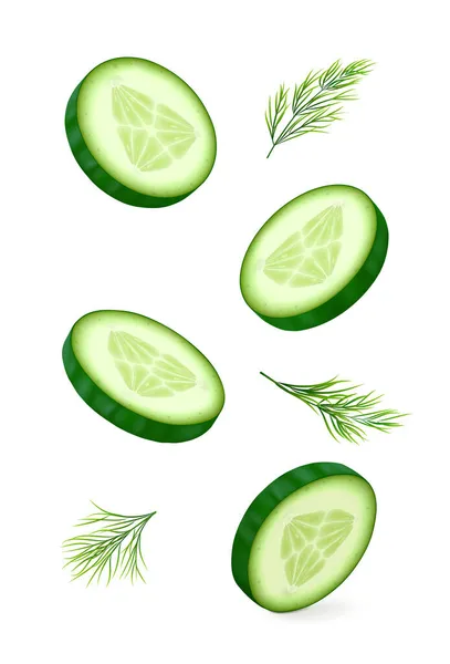 Cucumber Slices Dill Isolated White Background Realistic Vector Illustration — Stock Vector