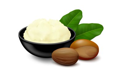 Shea (Vitellaria paradoxa) siyah seramik bir kasede tereyağı, iki fındık (kabuklu, kabuksuz) ve beyaz arka planda izole edilmiş yapraklar. Yan görüş. Gerçekçi vektör illüstrasyonu.
