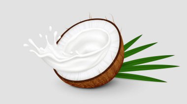Yarım hindistan cevizi meyvesi ve gri arka planda yalıtılmış palmiye yaprakları. Gerçekçi vektör çizimi. Yan görünüm.