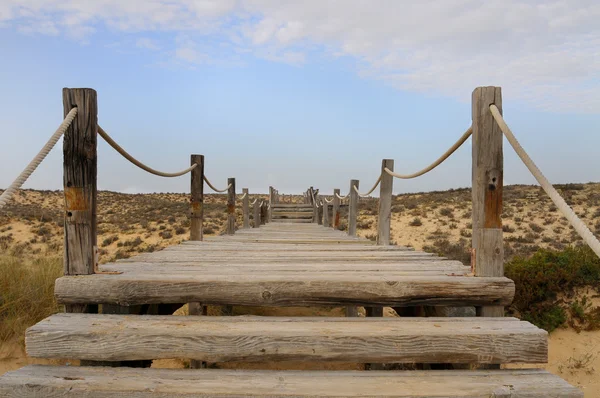 Algarve's beach — Stock Photo, Image