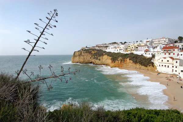 Plage de Carvoeiro en Algarve — Photo