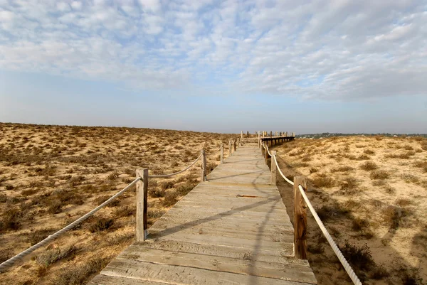 Playa en Algarve —  Fotos de Stock