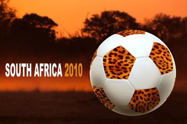 Coupe du monde Afrique du Sud — Photo