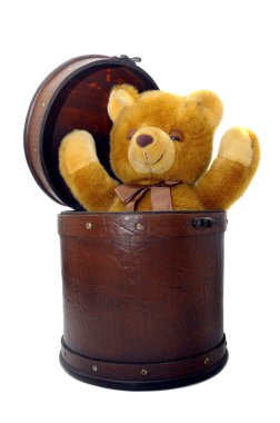 oyuncak ayı ile eski dava