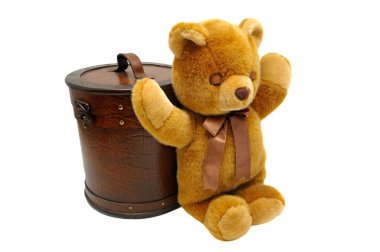 oyuncak ayı ile eski dava