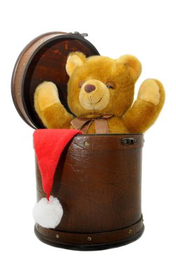 oyuncak ayı ile eski dava