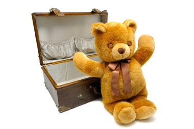 oyuncak ayı ile eski dava