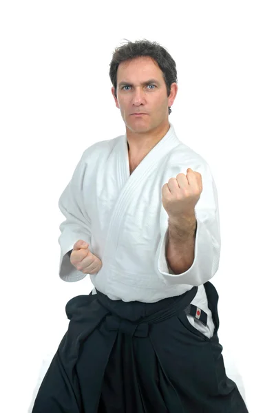 Martial arts — Stock Photo, Image