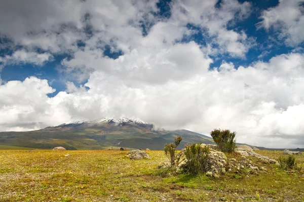 Sopka Cotopaxi z Ekvádoru — Stock fotografie