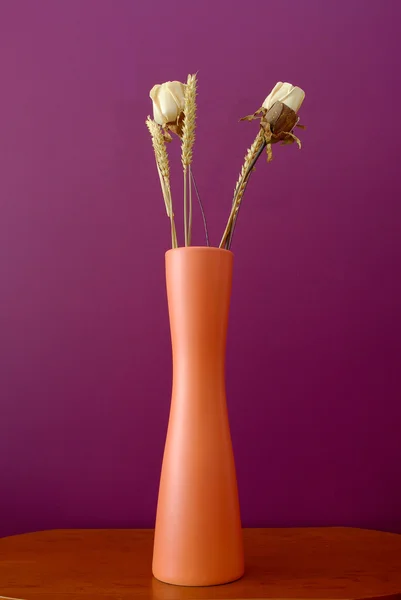 Vase with dry flowers — Stock Photo, Image