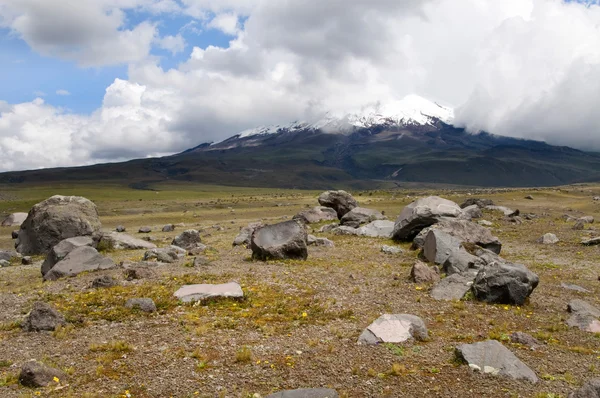 Cotopaxi volcano — Stock Photo, Image