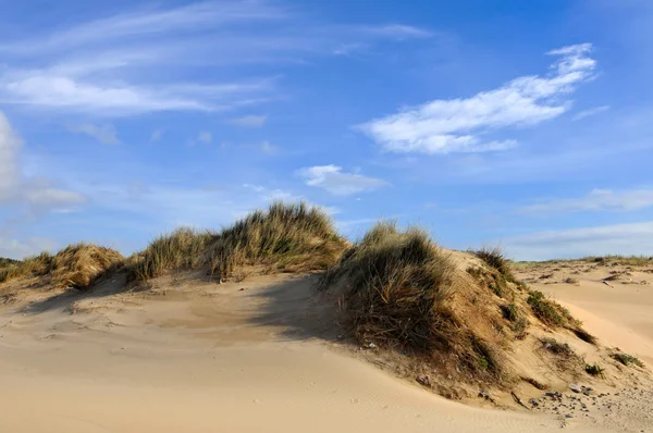 Dune — Stock Photo, Image