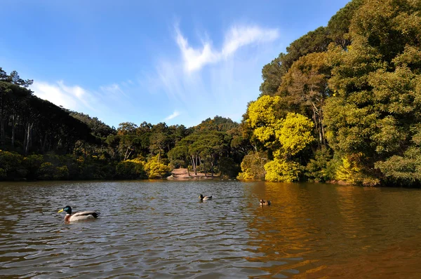 Lagoa — Fotografia de Stock