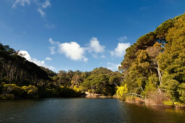 Lagoa — Fotografia de Stock