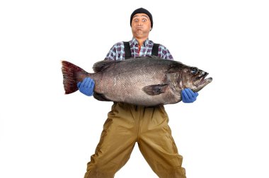 Balıkçı avı.
