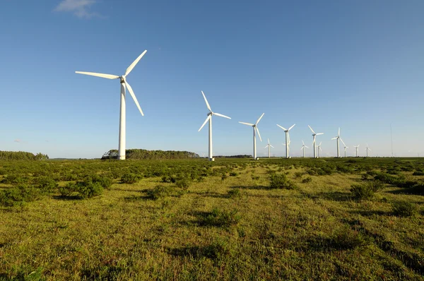 Windturbine — Stockfoto