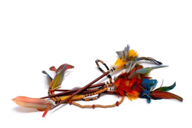 Kızılderili tüyleri