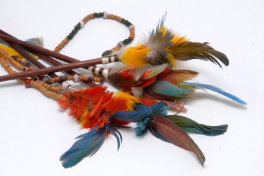 Kızılderili tüyleri