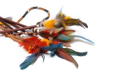 Kızılderili tüyleri