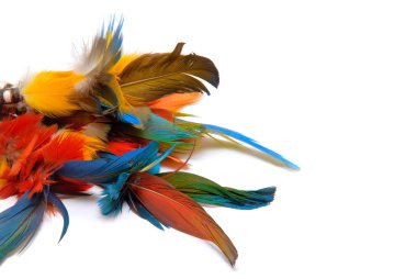 Kızılderili tüyleri