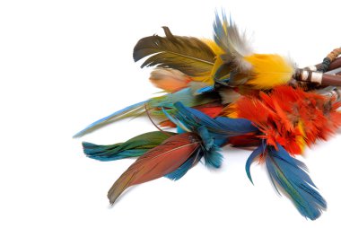 Kızılderili tüyleri