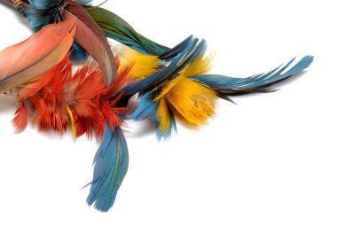 Kızılderili tüyleri