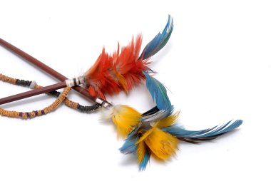 Kızılderili tüyleri