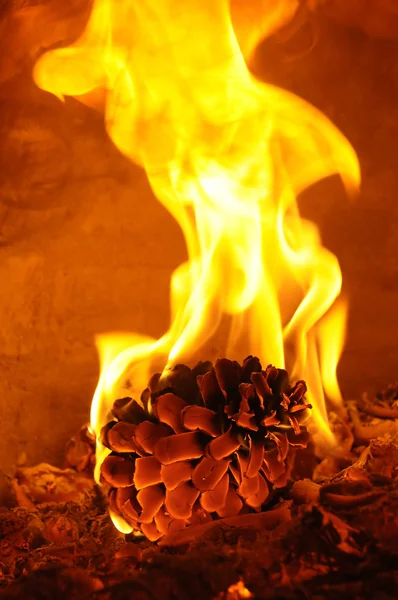 Fire — Stock Photo, Image