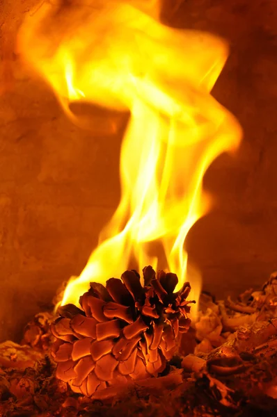 Fire — Stock Photo, Image