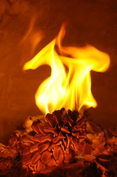 Fire — Stock Photo, Image