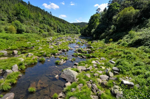 Fiume — Foto Stock