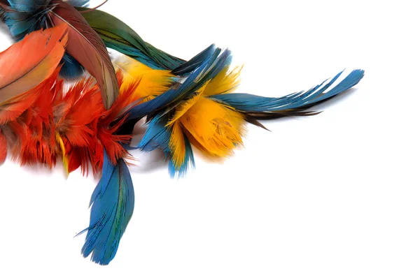 Indian feathers — Stock Photo, Image