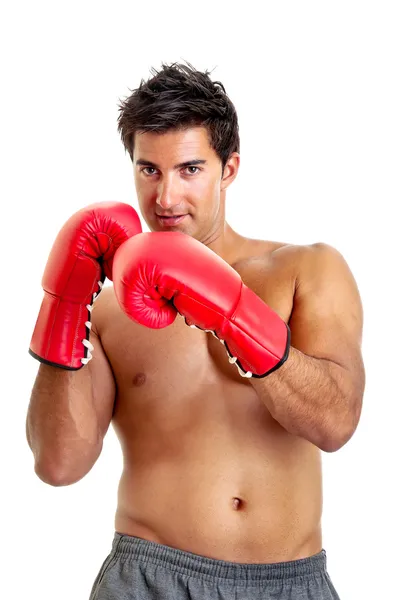 Boxer — Stock Photo, Image