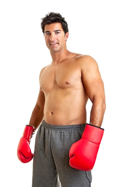 Boxer — Stock Photo, Image