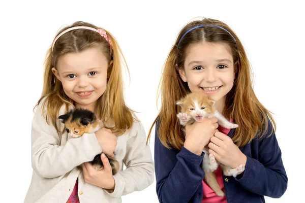 Dívky s koťata — Stock fotografie