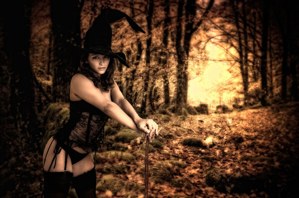 Sexy girl in witch costume for Halloween in a forest