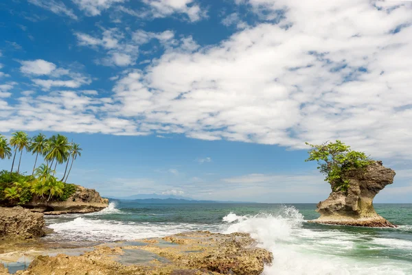 Spiaggia tropicale — Foto Stock