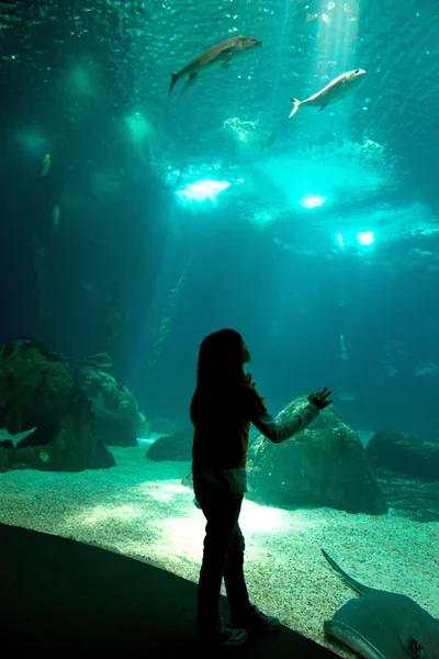 Parque aquático — Fotografia de Stock