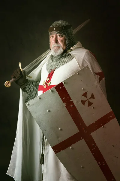 Knight Templar — Stock Fotó