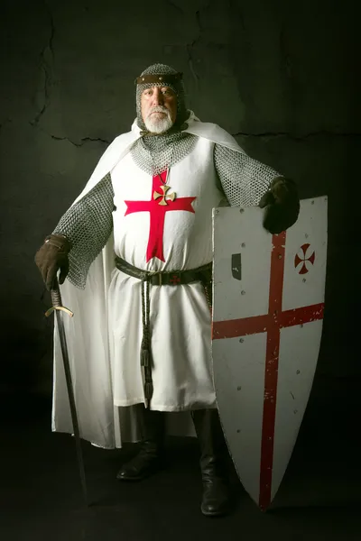 Knight Templar — Stock Fotó