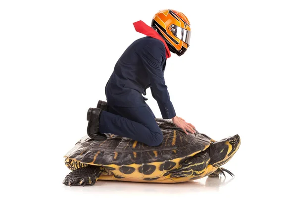 Businessman Helmet Riding Turtle Isolated White Background — Stock Photo, Image