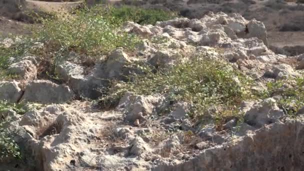 Paphos Chipre Septiembre 2021 Vista Las Tumbas Los Reyes Ruinas — Vídeo de stock