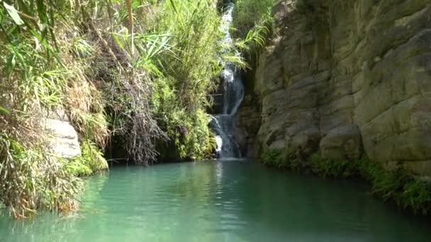 Zypern Paphos August 2021 Adonis Badet Wasserfällen Ein Zweistöckiger Wasserfall — Stockvideo